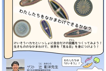 科博のサイエンスイベント12/7、参加小中学生募集 画像