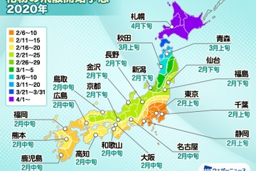 2020年春の花粉、飛散量は全国平均で平年比85％程度 画像