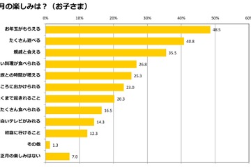 親子で異なるお正月のイメージ、母親には悩みも 画像