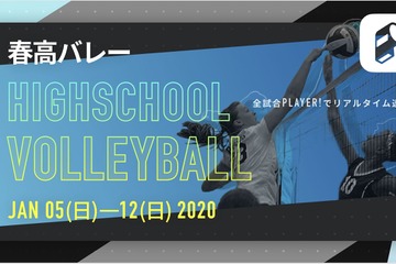春高バレー、全試合をPlayer！で速報…1/12決勝 画像