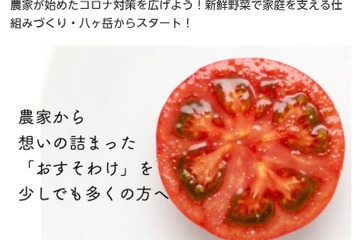 困窮家庭に野菜の無償提供…支援者募集 画像