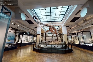 国立科学博物館、自宅で楽しめる無料コンテンツ提供 画像