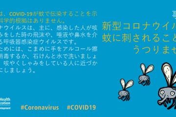 新型コロナ、蚊を介して感染せず…WHO・厚労省 画像