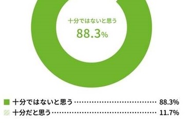 家庭における災害の備え「十分ではない」9割、必要性は認識 画像