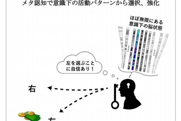 高性能AI開発の一助に…「メタ認知」で超多次元の複雑な問題を簡単化 画像