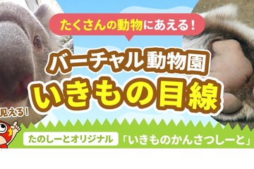 放課後たのしーと「バーチャル動物園」開園…オンライン遠足にも 画像