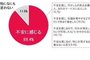 9割がネットトラブルに不安、うち半数が対策せず 画像