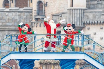 ディズニー、チケット変動価格制を導入…最高は大人1デー8,700円 画像