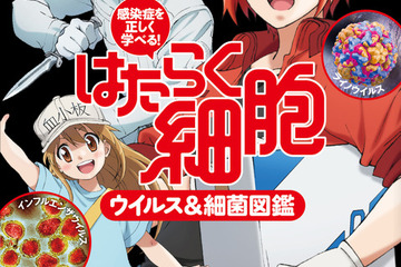 はたらく細胞で感染症を学ぶ「ウイルス＆細菌図鑑」発売 画像