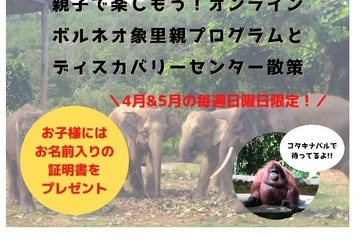 【GW2021】JTB、家族で楽しめる「海外オンラインツアー」販売 画像