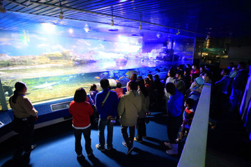 【夏休み2021】鴨川シーワールド、夜の水族館を探検する「ナイトアドベンチャー」開催 画像