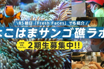 環境問題学ぶ「よこはまサンゴ礁ラボ2021」小学生募集 画像