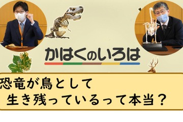 かはく職員がEduTuberに…博物館を紹介する新シリーズ公開 画像