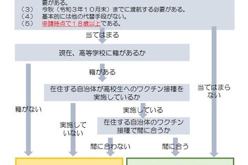 留学予定の18歳以上の高校生へ、ワクチン接種情報を掲載 画像