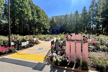 【夏休み2021】「さがしてみよう！植物のふしぎ」パネル展示＆園内で植物探しイベント 画像