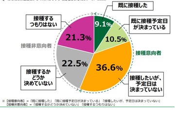 17～19歳のコロナワクチン接種「意向なし」4割超、日本財団調査 画像