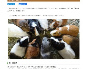 東京都多摩動物公園「オータムスクール」参加者募集 画像