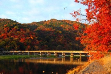北日本は紅葉シーズンへ…ウェザーニューズ「見頃予想」 画像