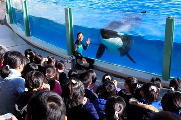 【冬休み2021】鴨川シーワールドで小学生対象「ウインタースクール」8日間 画像