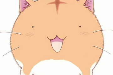 「TOEICテスト超速トレーニング」学習に役立つ小ネタなど最新情報公開 画像