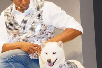 総合1位は2年連続で「お父さん犬」…PRキャラクターブランド調査 画像