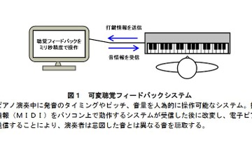 緊張でパフォーマンス低下する仕組み解明…JSTと関西学院大 画像