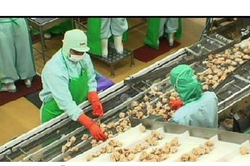 初の海外プログラム「Out of KidZania ニチレイフーズ 冷凍食品工場 in タイ」 画像