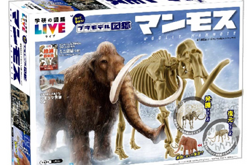 学研、作って学べる「プラモデル図鑑マンモス」発売 画像