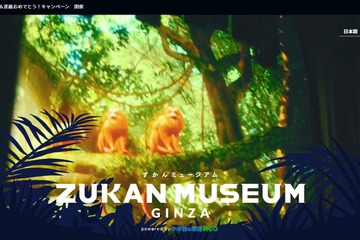 ずかんミュージアム、入園入学＆進級おめでとうキャンペーン 画像