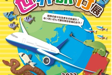 ねったいかん「生きものと行く！世界旅行展」4/10まで 画像