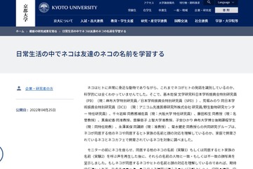 ネコは日常生活の中で友達の名前を学習…京大調査 画像