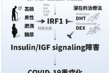 阪大、新型コロナが引き起こす代謝異常のメカニズムを解明 画像