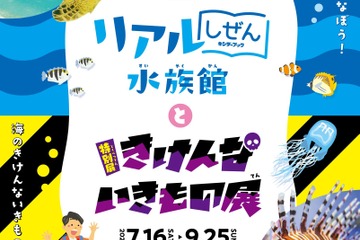【夏休み2022】しながわ水族館「きけんないきもの展」7/16-9/25 画像