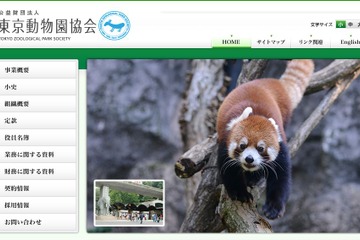 戦後のゾウと移動動物園、巡回特設展「あんこさんとゾウ」 画像
