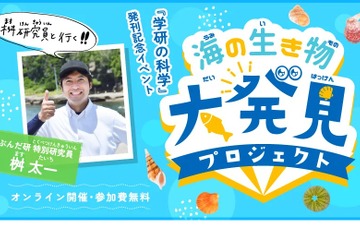 【夏休み2022】海の生き物大発見オンラインイベント 画像