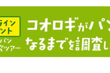 【夏休み2022】食用コオロギがパンになるまで…7/31オンライン 画像