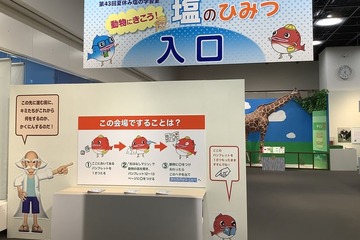 【夏休み2022】動物と塩のひみつ展示・実験...たばこと塩の博物館 画像