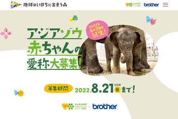 東山動植物園、アジアゾウの赤ちゃんの名前募集8/21まで 画像