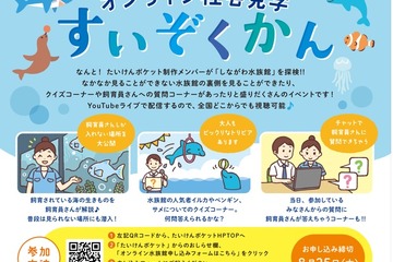 学研たいけんポケット、しながわ水族館探検ライブ8/28 画像