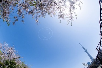 【夏休み2022】大空にニコちゃんマーク…茨城県上空 画像