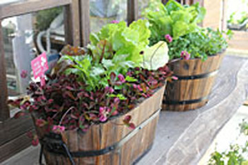 親子で学ぶこれからのエネルギーワークショップが7/26開催…東京ガス 画像