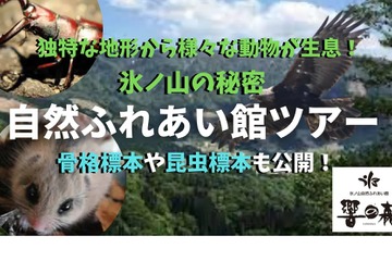 博物館オンラインツアー「響の森」10/30…こどハピ 画像