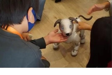 子供の教育格差縮小へ…足立区・鳴門市で感動体験プログラム 画像