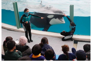 【冬休み2022】鴨川シーワールド「ウインタースクール」11/24受付開始 画像