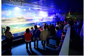 【冬休み2022】鴨川シーワールド「冬のナイトアドベンチャー」12/1受付開始 画像