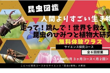 こどハピ、昆虫と植物「サイエンス探究学コース」無料体験 画像