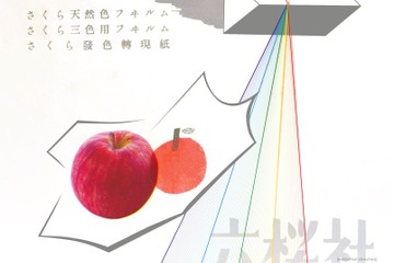 東京工芸大学創立100周年記念「色を記録する展」3/10まで 画像