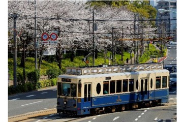 受験生応援、東京さくらトラム「さくらサク号」運行開始 画像