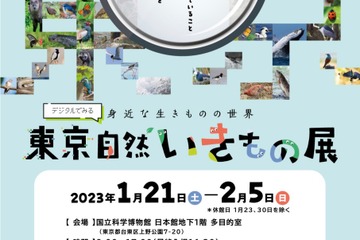 デジタルでみる「東京自然いきもの展」かはく1/21-2/5 画像
