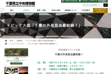 千葉県立中央博物館「外来昆虫最前線」4/29-6/18 画像